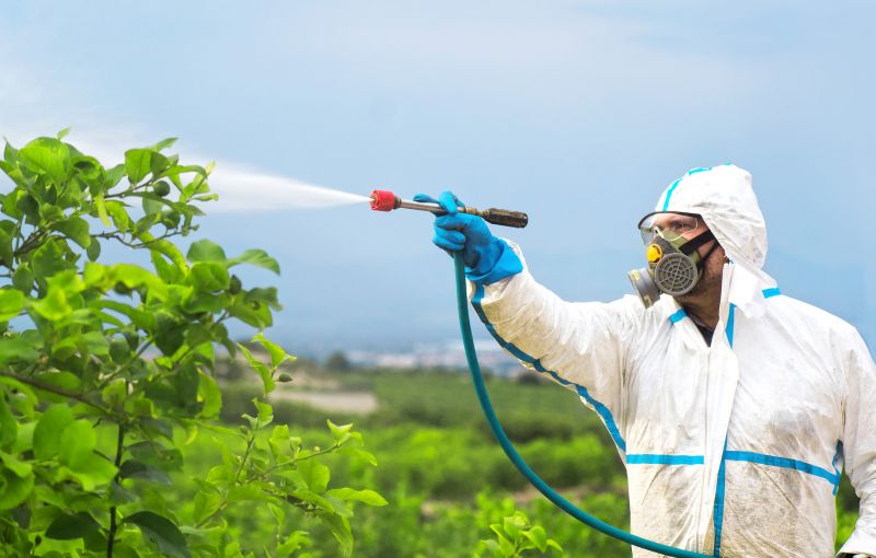 Pest Fumigation Service in Santa Fe, NM