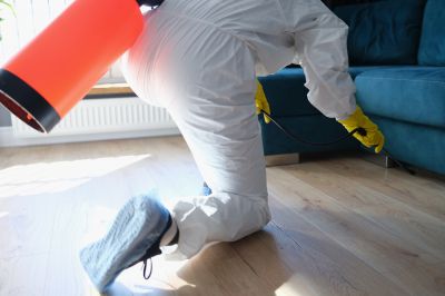 Residential Fumigation in Phoenix, AZ